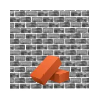 Bricks