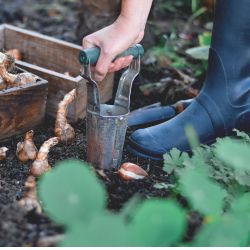 Bulb planter