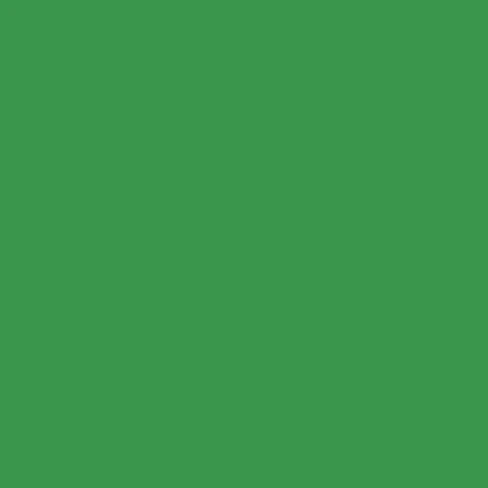 A plain square green colour swatch for English vocabulary learners.