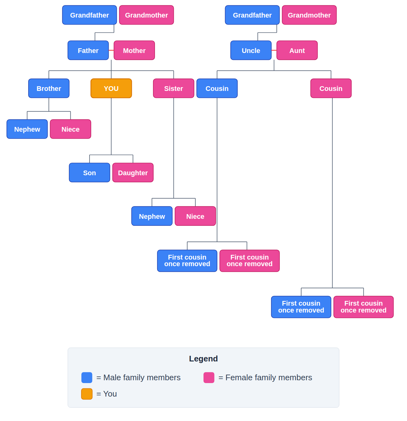 Family members vocabulary with a tree iagram for beginners in English