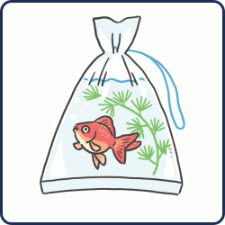 A goldfish inside a plastic bag