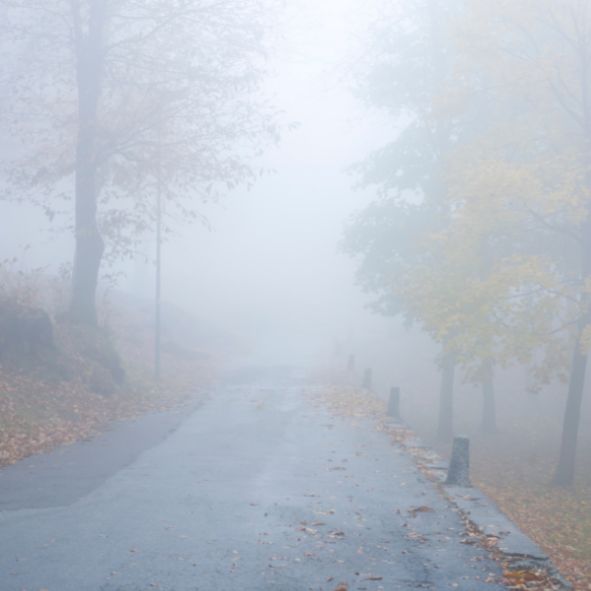 foggy road