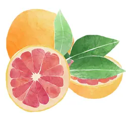 Grapefruit