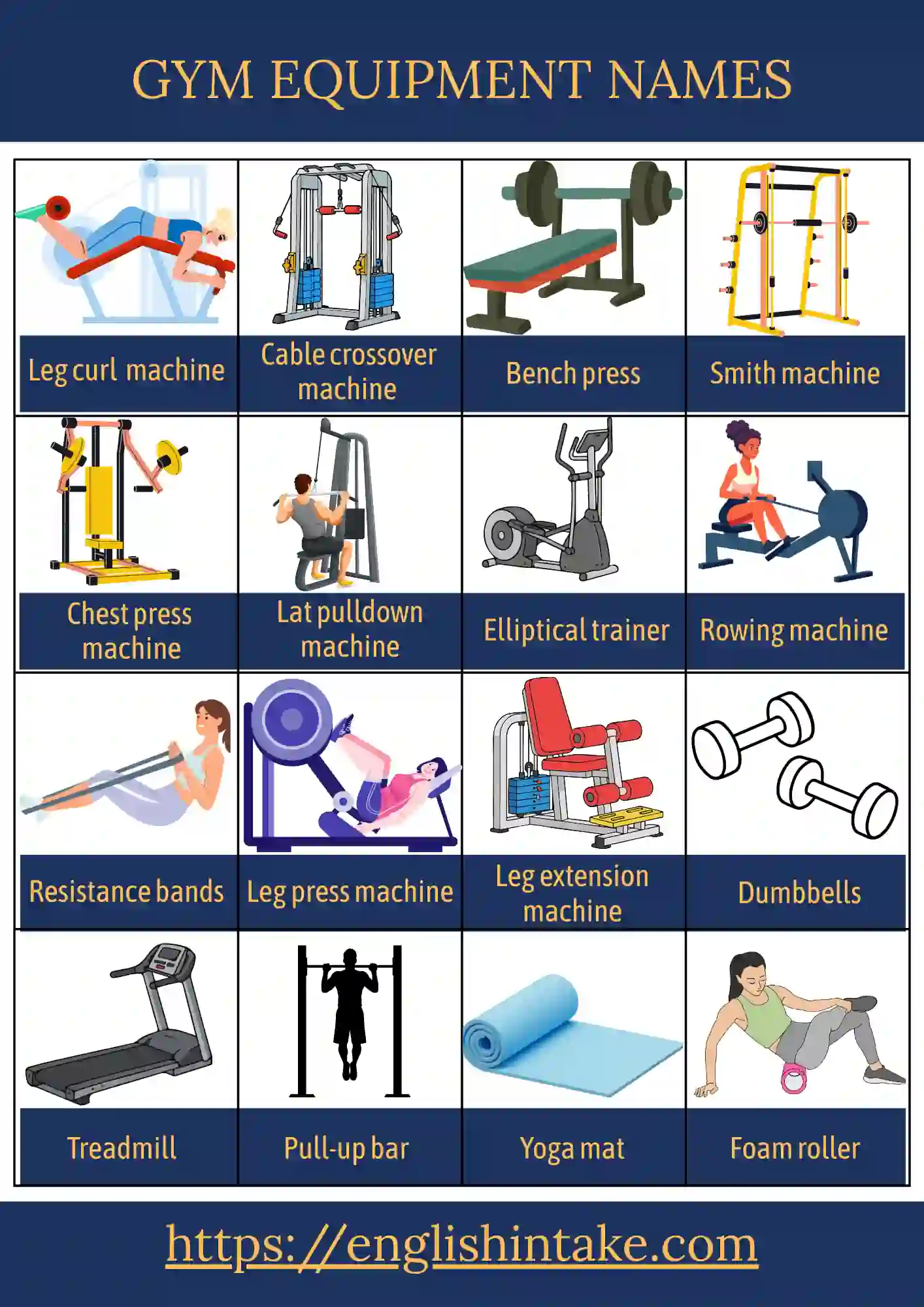 Gym equipment names Gym equipment names in English