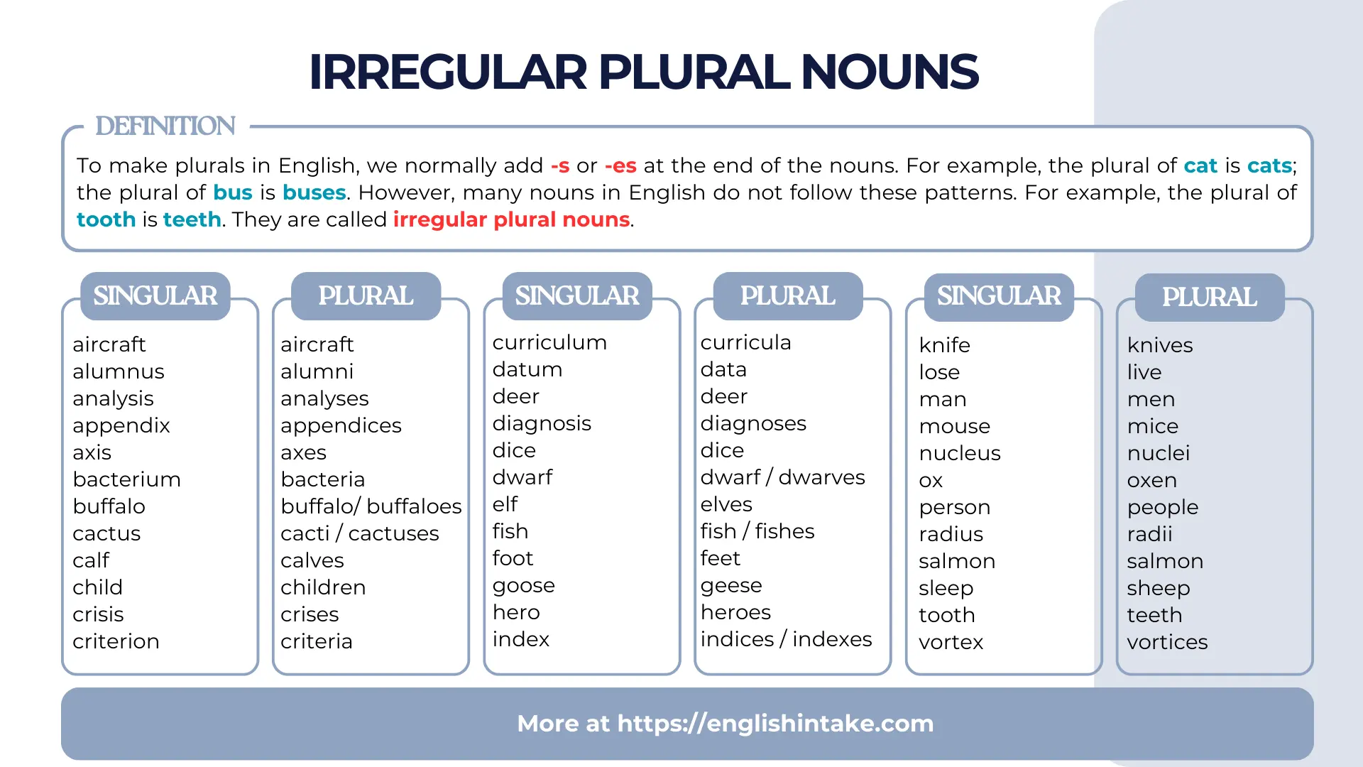 Irregular plural nouns list with examples and meanings for ESL-EFL students