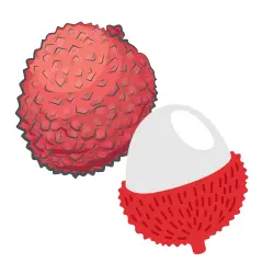 Litchi