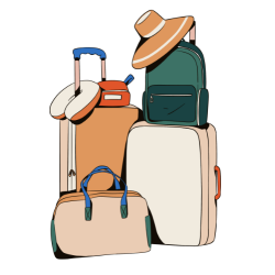 Travel luggages