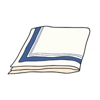 Napkin