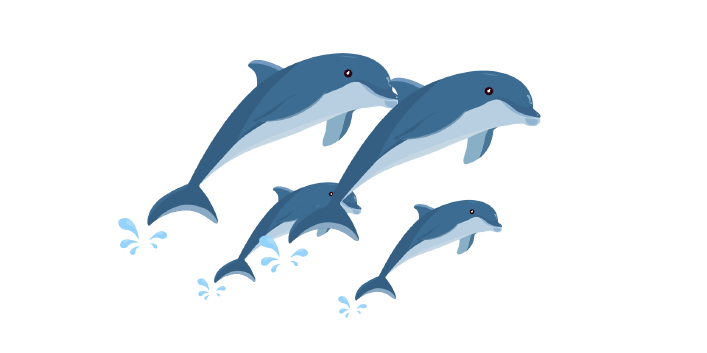 Collective nouns - Picture of Dolphins