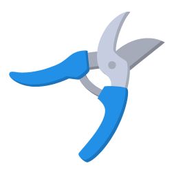 Pruning Shears