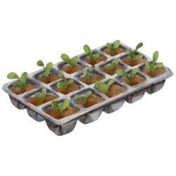 Seedling tray