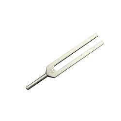 Tuning fork