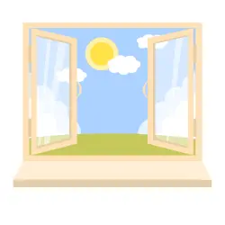 Window